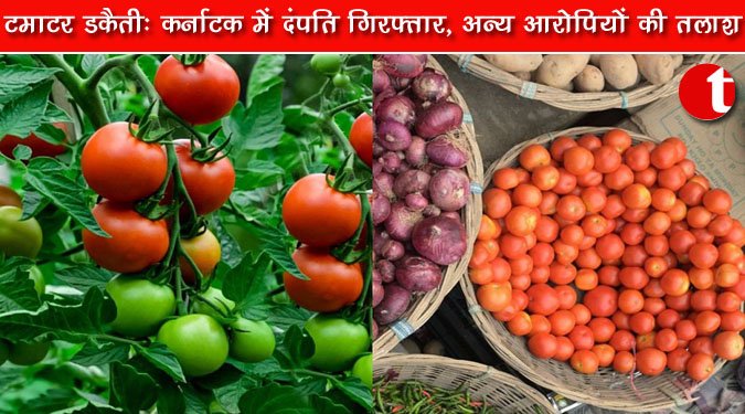 टमाटर डकैती: कर्नाटक में दंपति गिरफ्तार, अन्‍य आरोपियों की तलाश