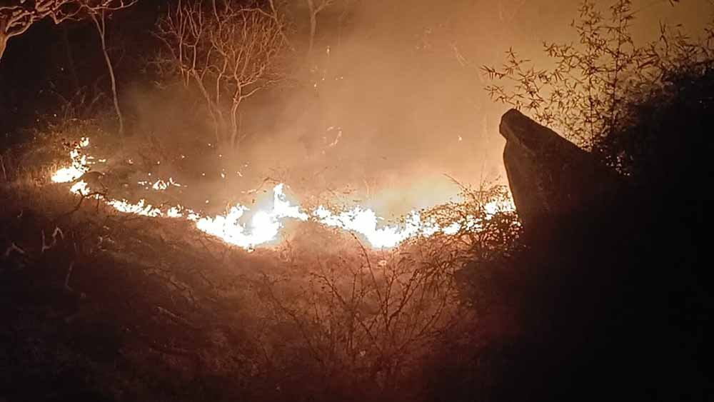 तेज हवाओं के चलते फैलती जा रही है माउंट आबू के जंगलों में लगी भीषण आग