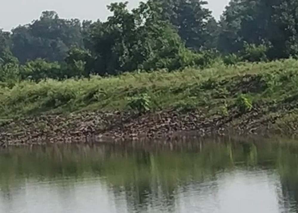जल्द ही प्रदेशभर में तैयार होंगे एक लाख जलदूत, उज्जैन में होगा गंगा जल संवर्धन अभियान का शुभारं