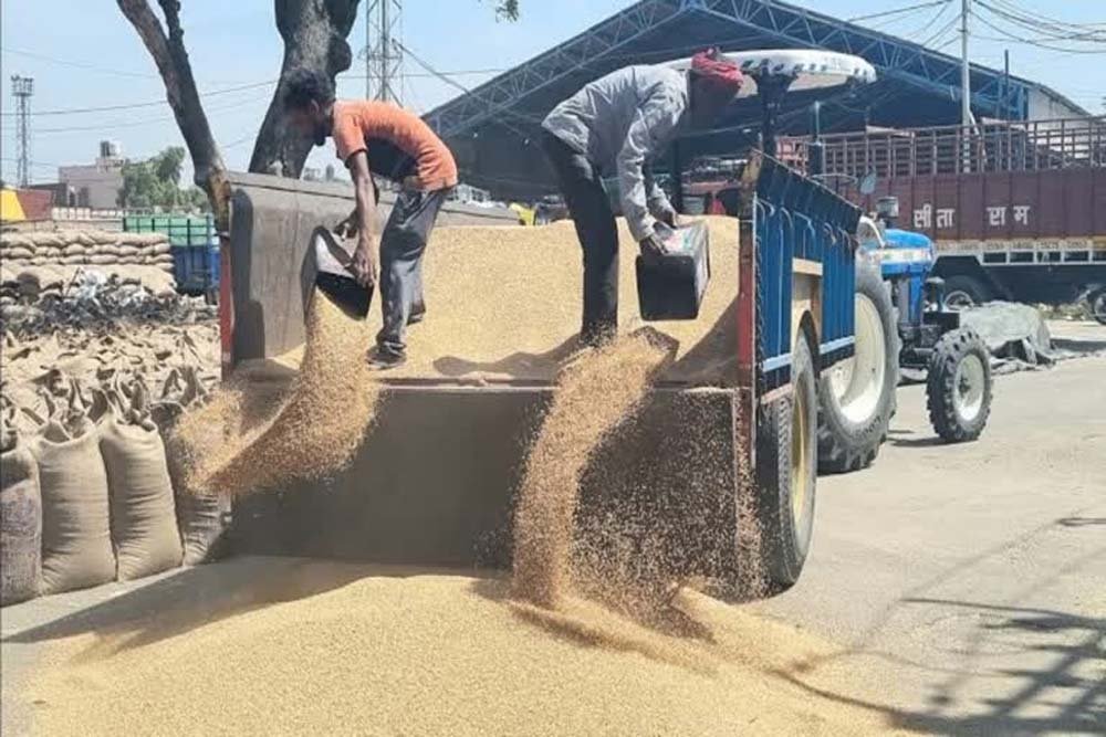 हरियाणा की मंडियों में किसानों के गेहूं की तौल को लेकर सी.एम. फ्लाइंग की रेड में कई खुलासे हुए