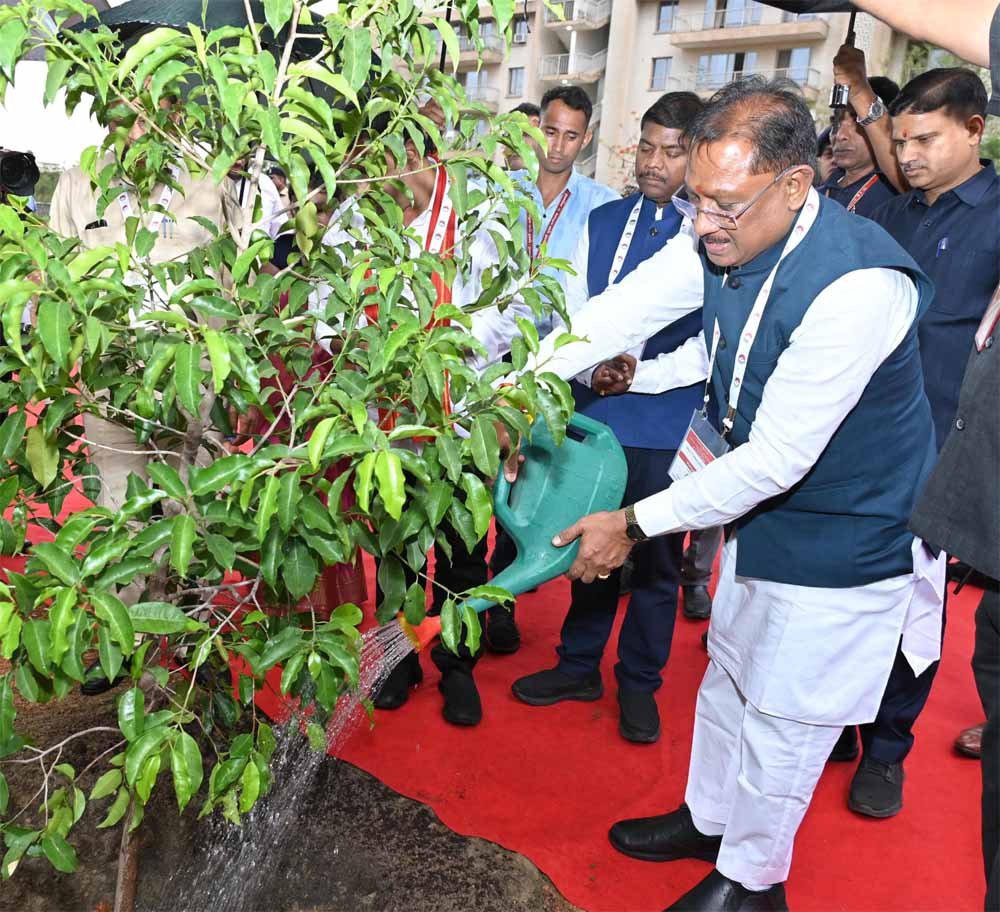 मंत्रिमंडल के सदस्यों के साथ सीएम साय ने सुशासन वाटिका में किया मौलश्री के पौधे का रोपण किया