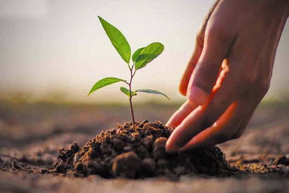 मां नर्मदा परिक्रमा पथ पर 233 स्‍थानों की 1000 एकड़ भूमि पर किया जाएगा पौधरोपण