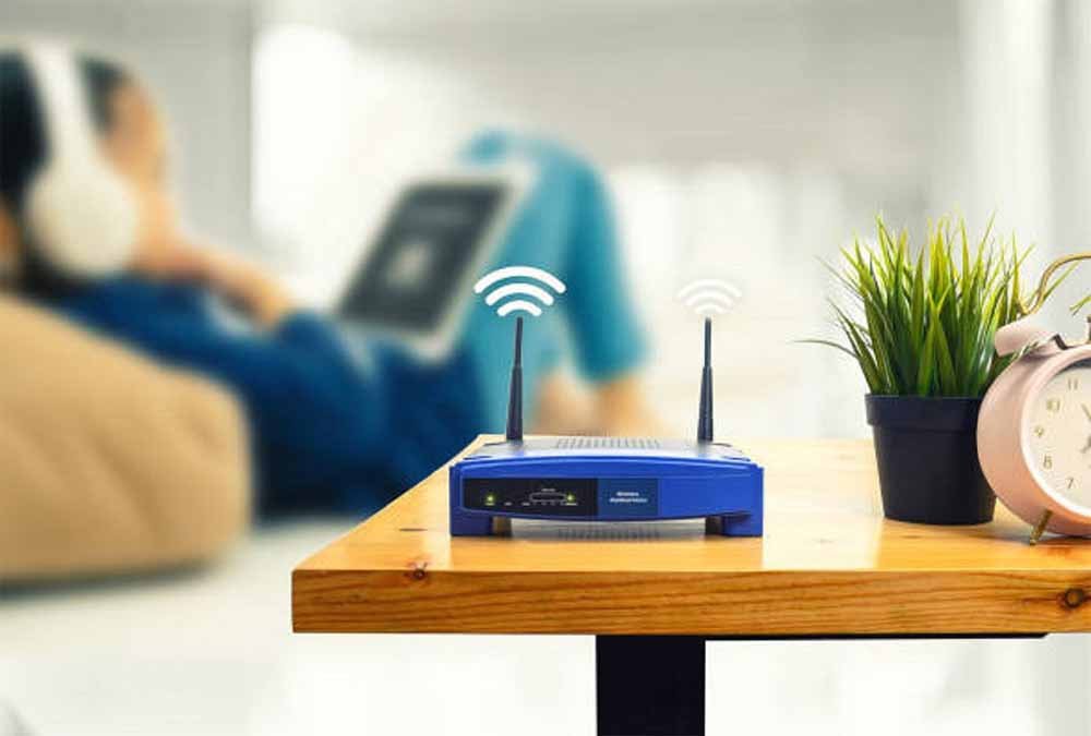 WiFi की स्पीड घटने का असली कारण: घर के हरे-भरे पौधे