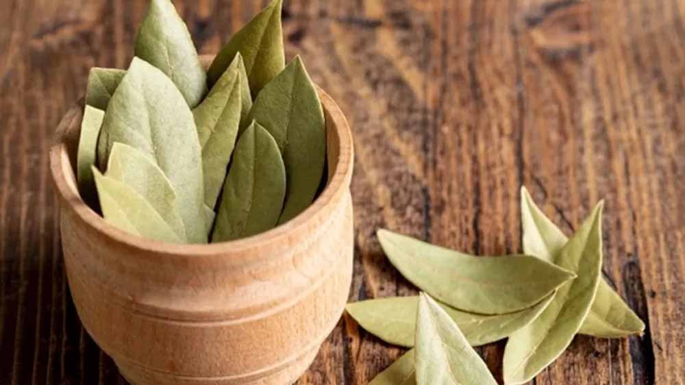 डायबिटीज के मरीजों के लिए असरदार: यह सूखे पत्ते की चाय करें सेवन