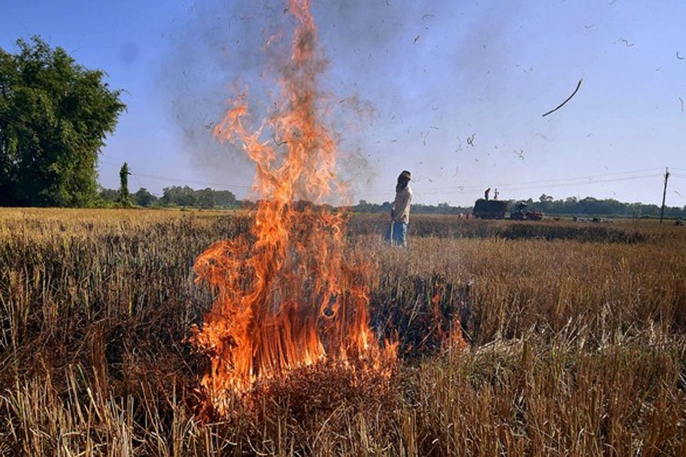 पराली जलाने की घटनाओं पर अंकुश लगाने के लिए सीएम योगी ने अधिकारियों को दिए निर्देश