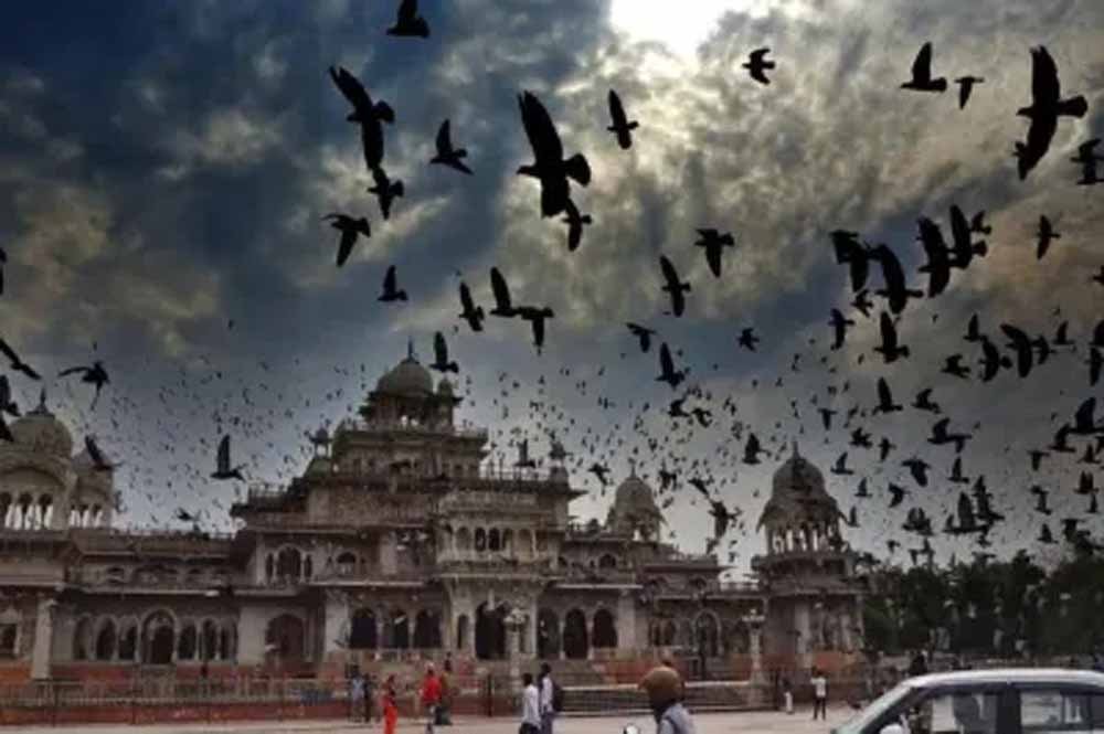 मंदिर में घुसकर ‘अल्लाह हू अकबर’ के नारे लगाए, मूर्तियों पर जूते से वार करने पहुंचा युवक, श्रद्