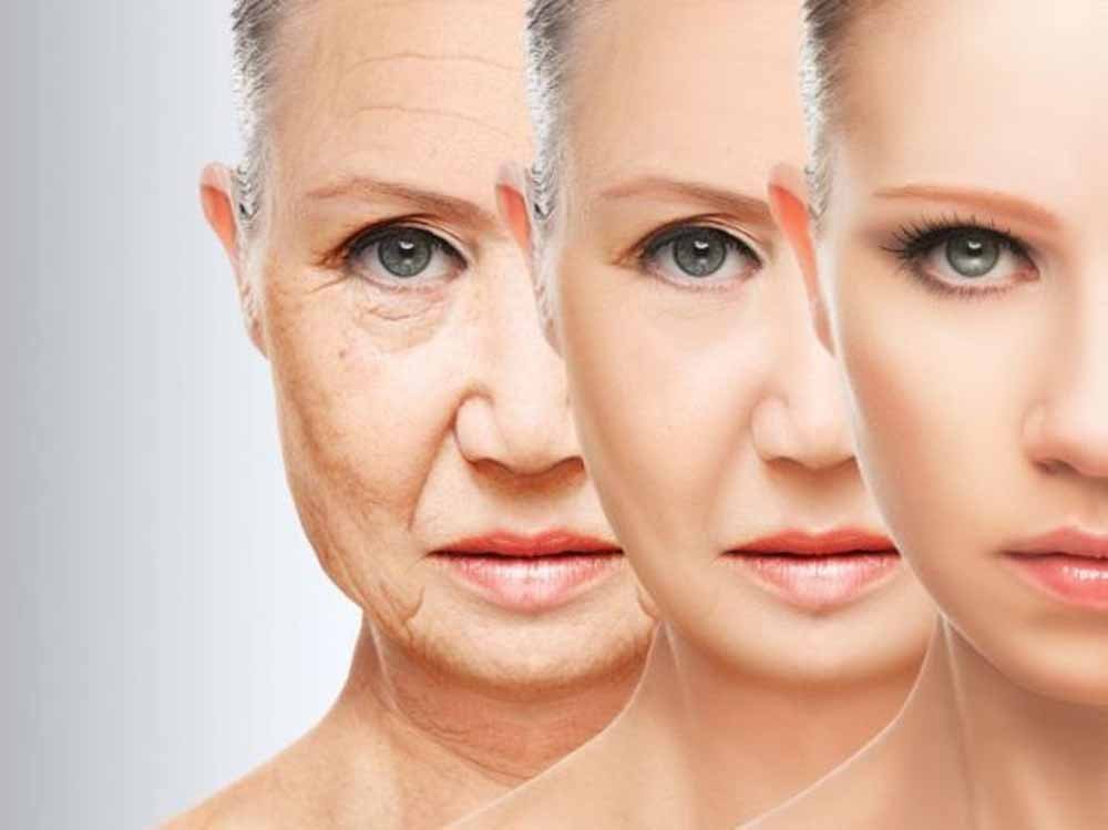 उम्र बढ़ने पर लगेगी ‘ब्रेक’? शोध में सामने आई संभावित एंटी-एजिंग दवा
