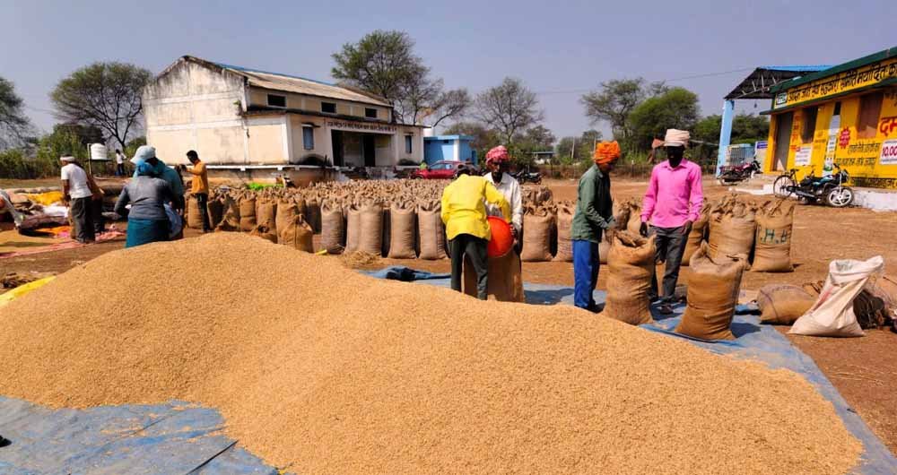 बालोद जिले में समर्थन मूल्य पर धान खरीदी सुचारु रूप से जारी