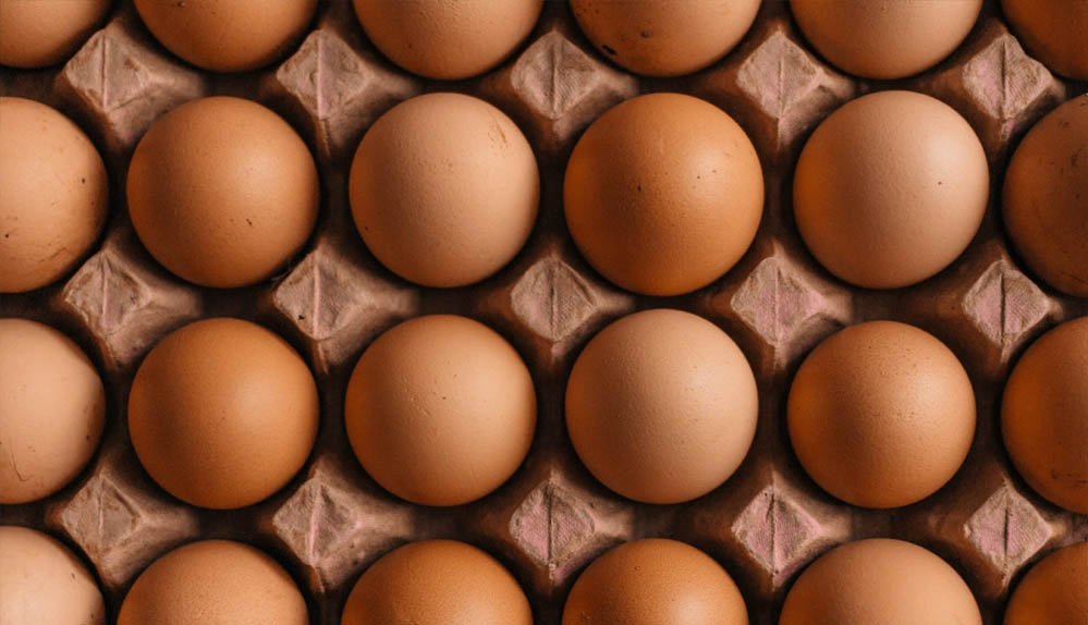 Egg Price रिकॉर्ड हाई: सर्दियों में 25–50% तक महंगे हुए अंडे, जनवरी में और बढ़ोतरी संभव