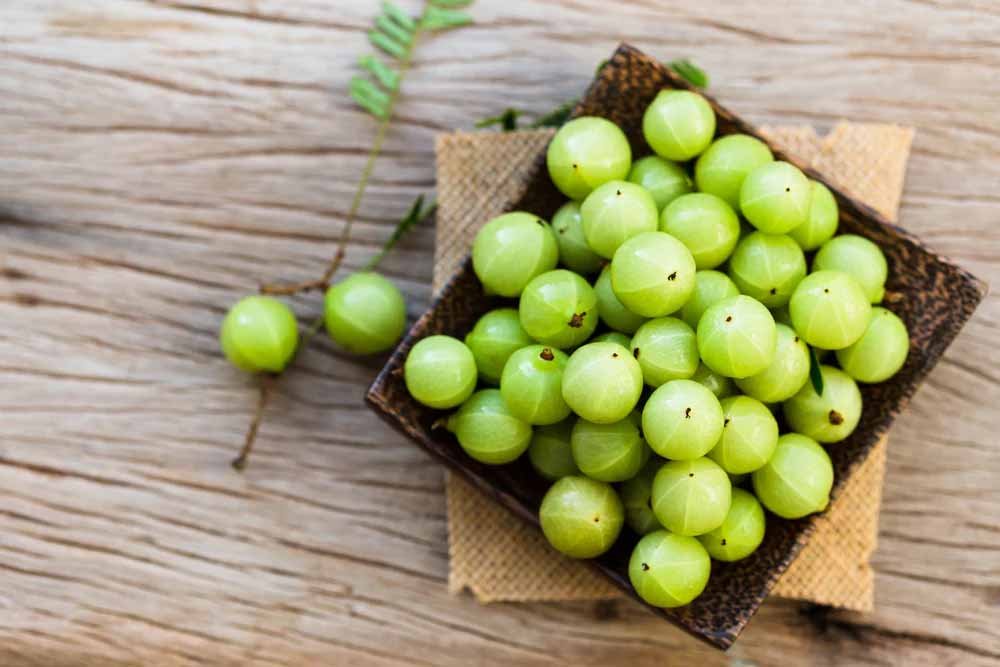 आंवले का जादू: सेहत के लिए क्यों है यह जरूरी