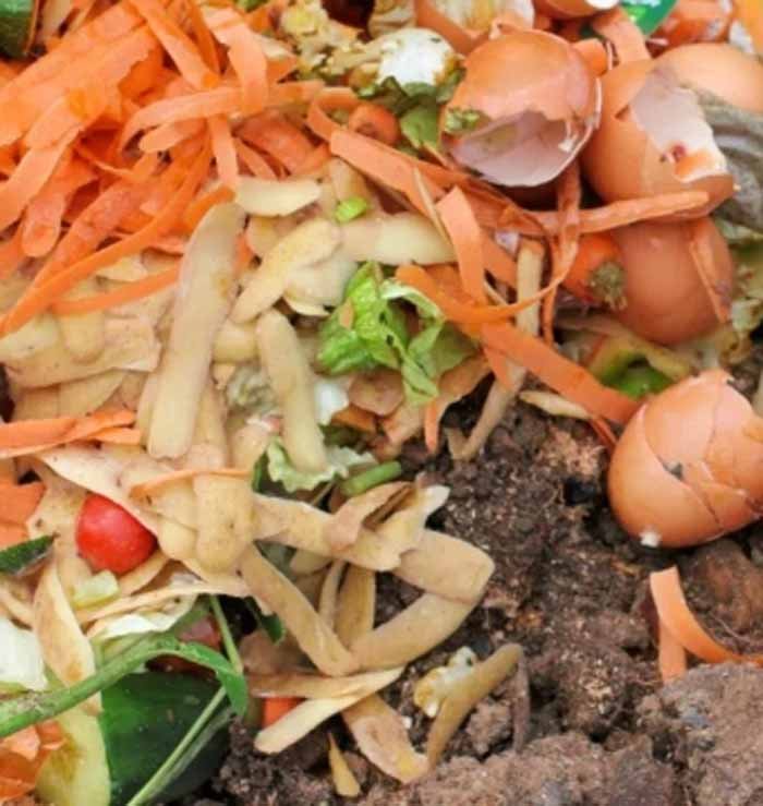 कचरे से कमाई तक: बबीता दीदी का नया इनोवेशन, गांव की बड़ी समस्या का अनोखा समाधान