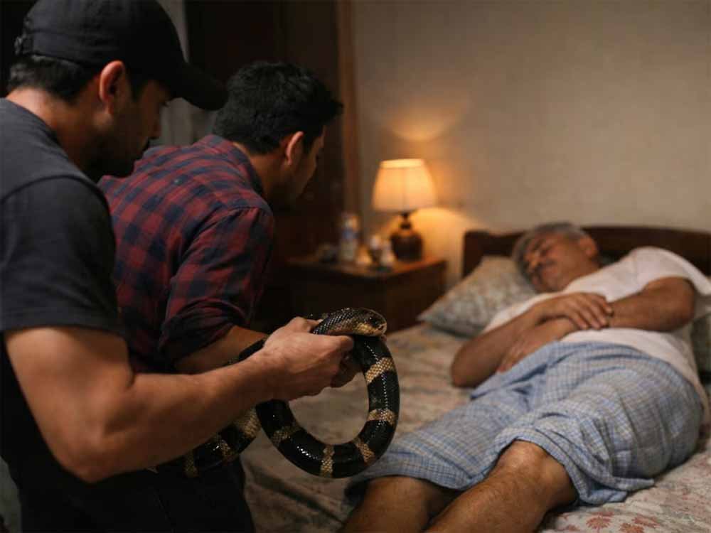 रिश्तों का खून: जीवन बीमा के पैसों के लिए बेटों ने सांप से कटवाकर पिता को मारा