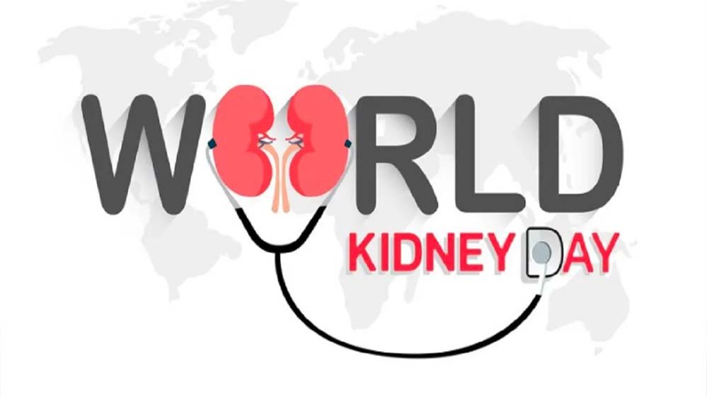 किडनी फेल होने का खतरा! AIIMS के डॉक्टर ने बताया, कौन से टेस्ट और यूरिन का रंग जरूरी संकेत हैं