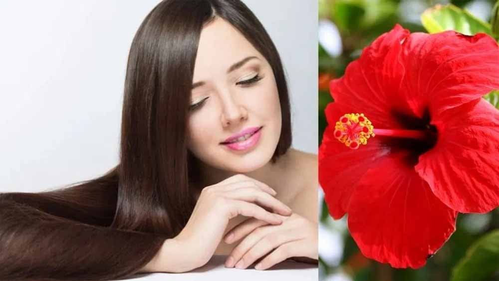 ब्यूटी रूटीन में गुड़हल क्यों है ज़रूरी? जानें स्किन और बालों के बेहतरीन लाभ