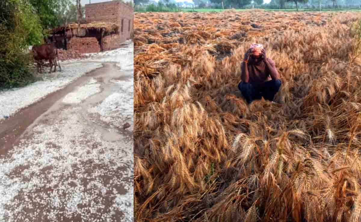 राजस्थान में ओलावृष्टि से तबाही, ई-गिरदावरी ऐप से नुकसान दर्ज करने की सुविधा