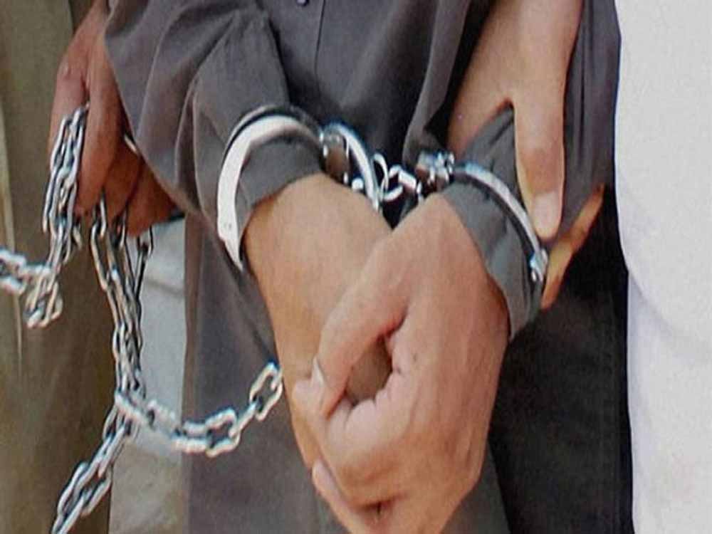 डीग पुलिस का बड़ा एक्शन,नकली सोना और साइबर फ्रॉड गिरोह का भंडाफोड़