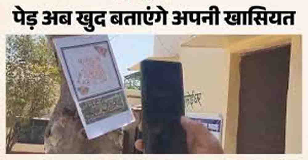 क्यूआर कोड स्कैन करते ही 'कलेक्टर ट्री' सुनाएगा अपनी कहानी, पचपहाड़ के सरकारी स्कूल का डिजिटल न