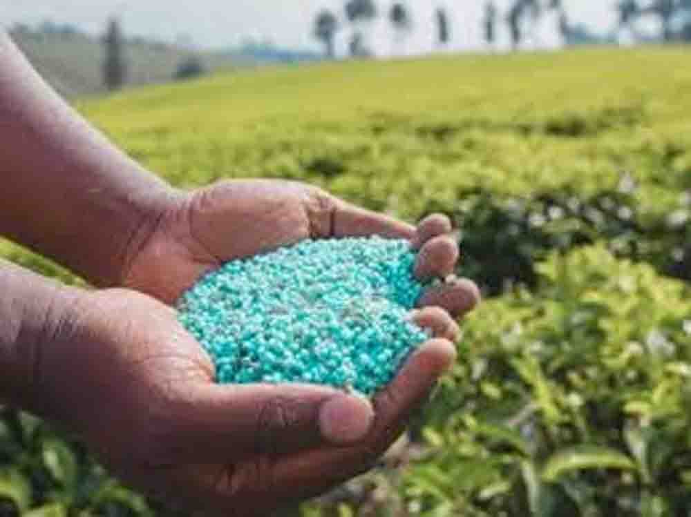 राजस्थान में जून तक खाद का पर्याप्त स्टॉक, खरीफ सीजन में मांग बढ़ने से पैदा हो सकती है चुनौती