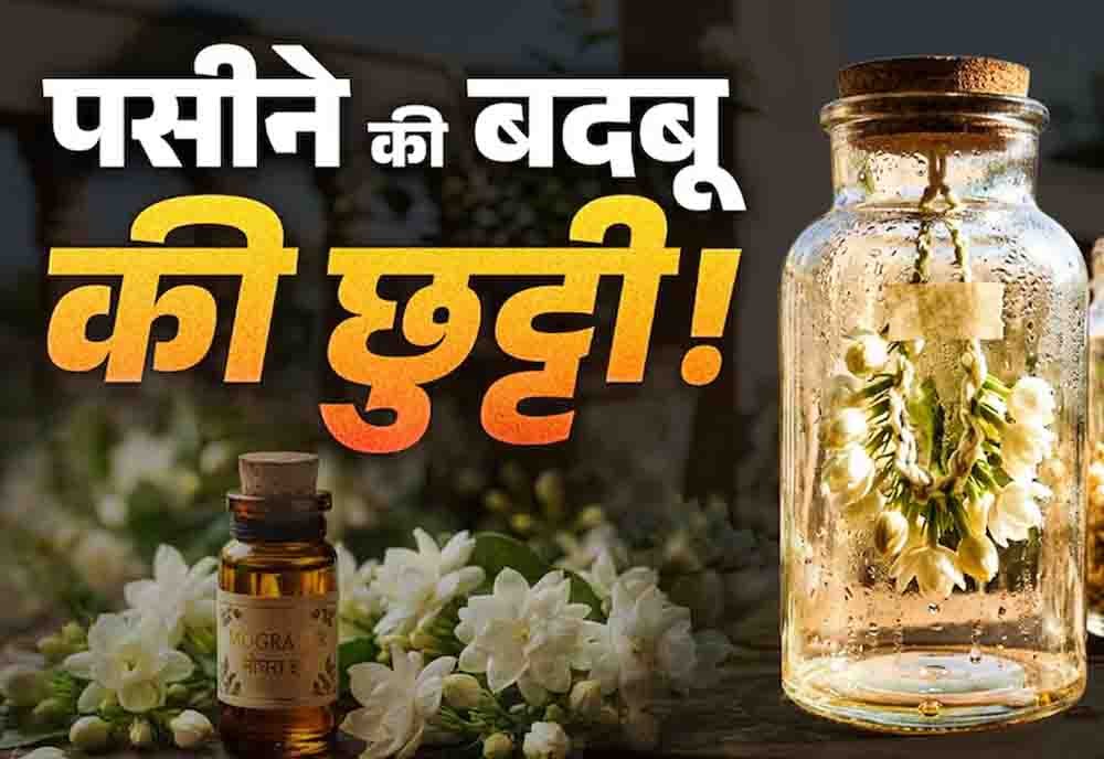 पसीने की बदबू से छुटकारा दिलाएगा मोगरे का देसी इत्र, बिना किसी खर्च के घर पर इस जादुई तरीके से