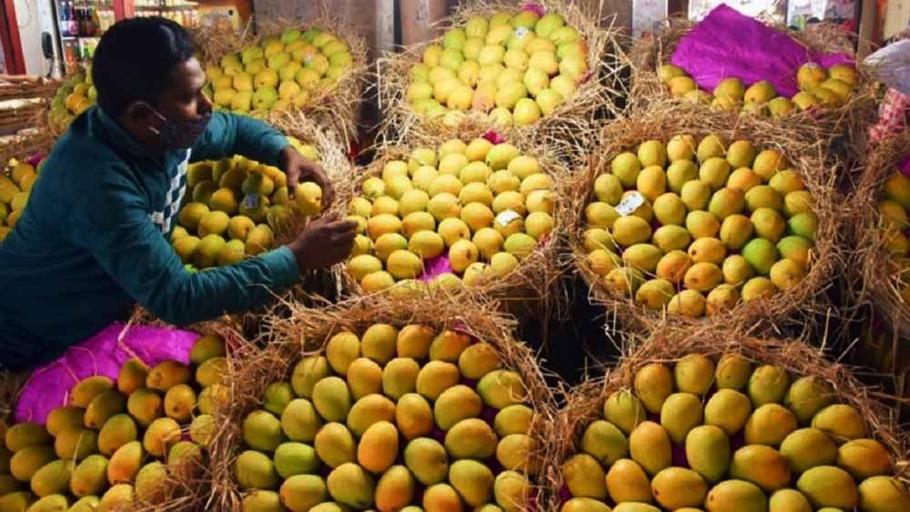 भारतीय आमों पर जापान का बैन, सिंगापुर में खरीदने की मची होड़; आते ही खाली हो रहे शेल्फ