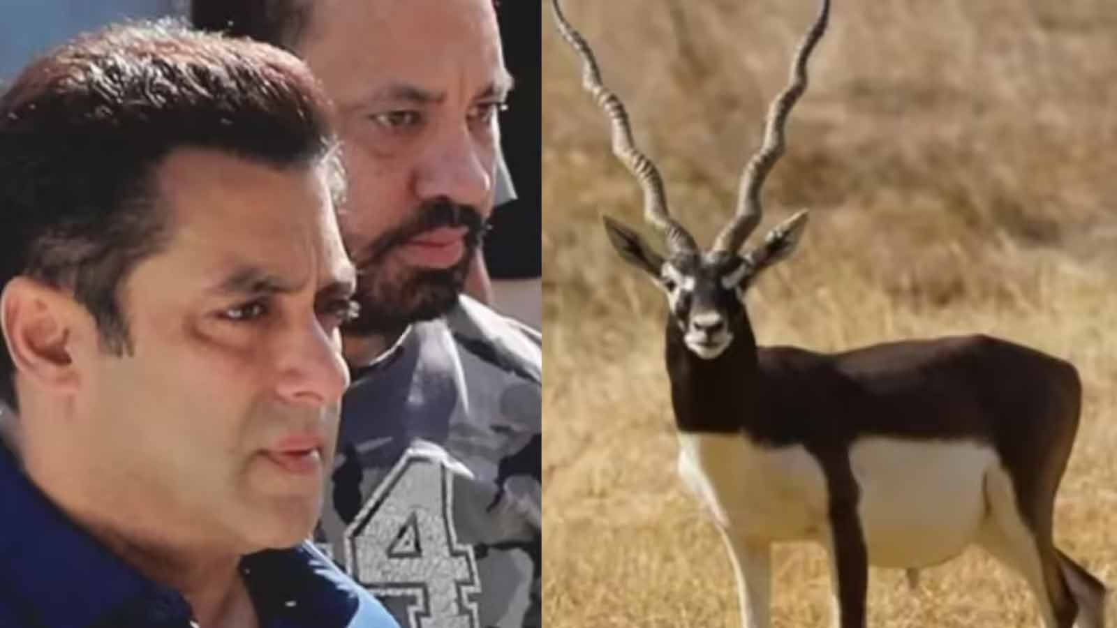 जोधपुर कांकाणी केस: सलमान खान समेत अन्य आरोपियों की अपील पर राजस्थान हाईकोर्ट में सुनवाई आगे बढ