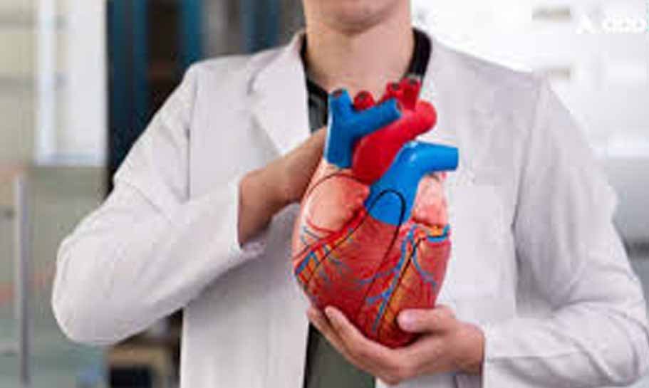 ब्रेन डेड महिला के परिवार का बड़ा फैसला, एक जिंदगी ने पाई नई धड़कन