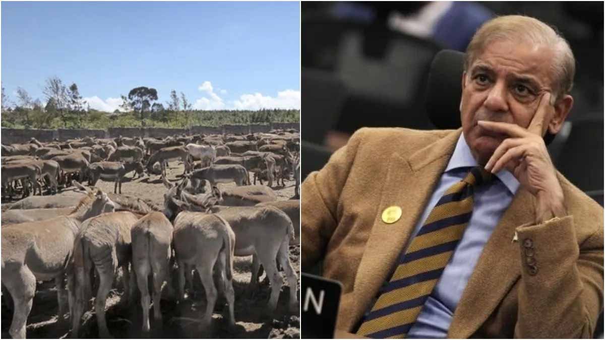 ग्वादर प्रोजेक्ट में तनाव: चीनी कंपनी की चेतावनी के बाद पाकिस्तान सरकार ने तुरंत खोली फाइलें