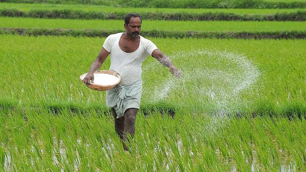 कम लागत, बेहतर उत्पादन और मिट्टी की सुरक्षा का नया विकल्प : नैनो उर्वरक