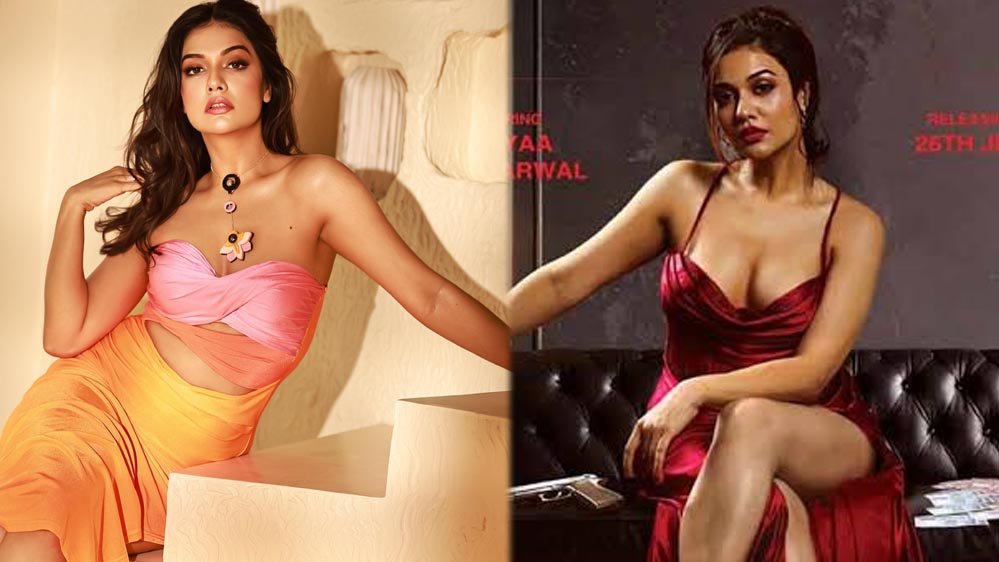 बिग बॉस के अंदर क्या होता है? दिव्या अग्रवाल ने इंटीमेसी और कैमरों को लेकर किया बड़ा खुलासा