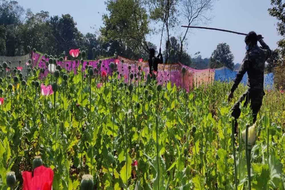 नशामुक्त समाज की दिशा में पहल, ग्रामीणों को अफीम खेती से दूर रहने की अपील