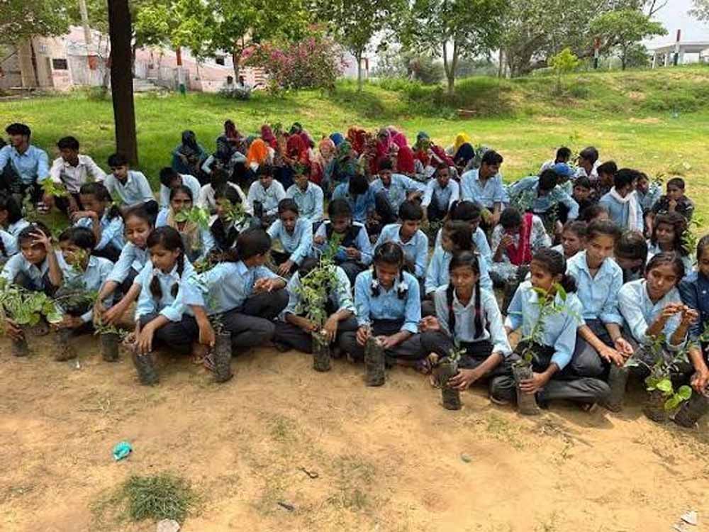झारखंड में पर्यावरण संरक्षण की पहल, स्कूलों में बड़े पैमाने पर वृक्षारोपण की तैयारी