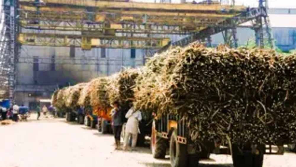 चीनी मिल में स्क्रैप कटाई से भड़के किसान, बिहार में आंदोलन की चेतावनी