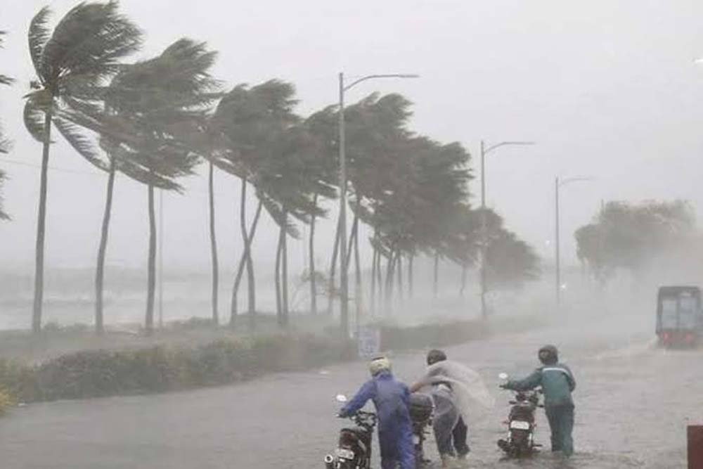 बारिश थमी तो झुलसने लगीं फसलें, बगहा में मौसम बदलने के आसार