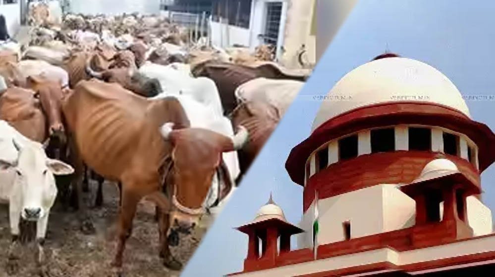 Supreme Court: तमिलनाडु सरकार की याचिका पर बड़ा आदेश, गाय-बछड़े से जुड़े मामले में हाईकोर्ट का 