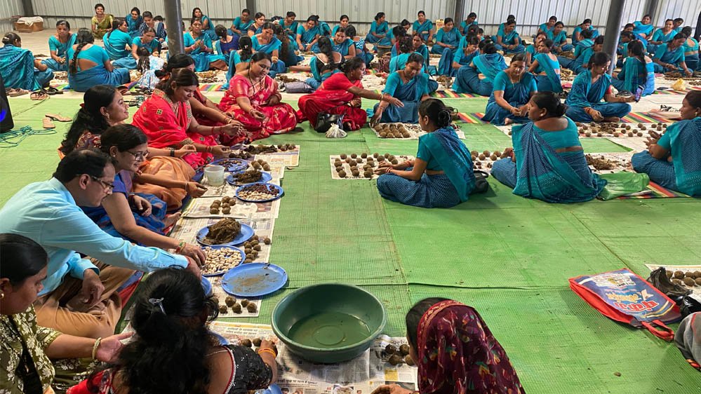 सारंगढ़ में स्व-सहायता समूहों की अनोखी पहल, 30 हजार सीड बॉल वितरित कर बढ़ाया हरियाली अभियान