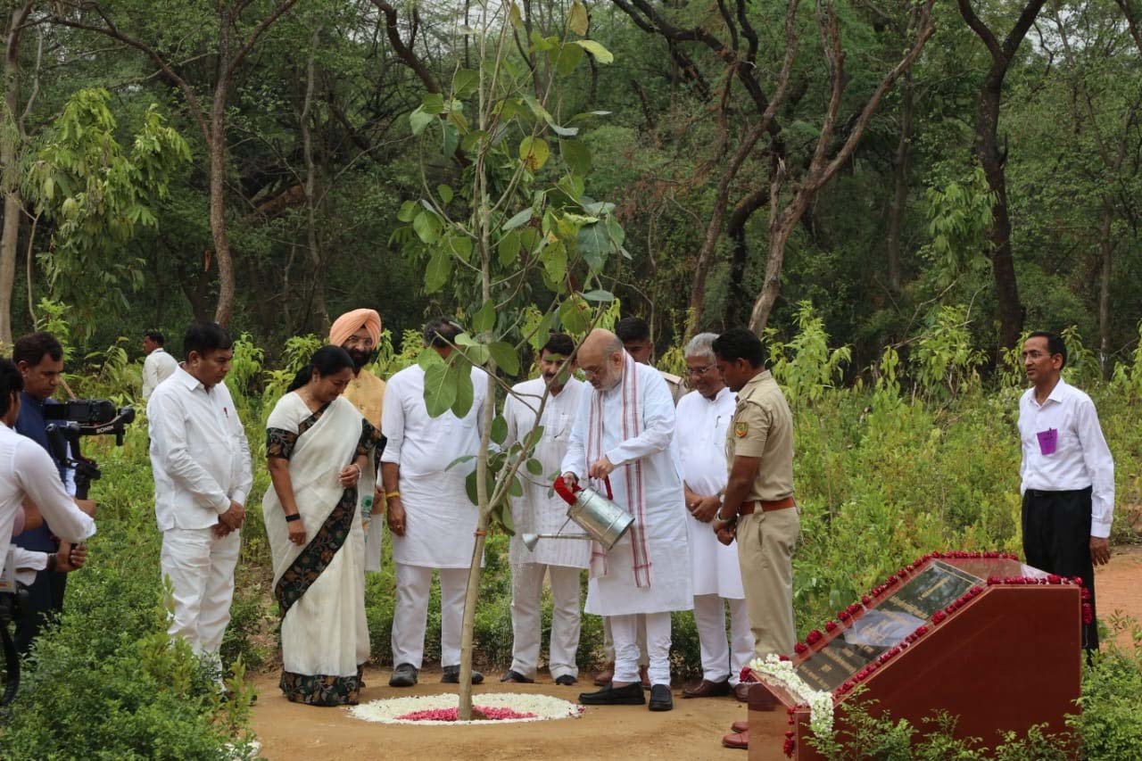 दिल्ली में 70 लाख पौधे लगाए जाएंगे, रिज क्षेत्र में लगेंगे पीपल, नीम और बरगद
