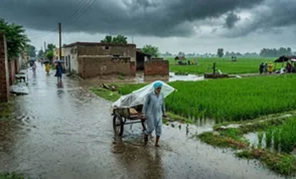 पंजाब-चंडीगढ़ में मानसून का जोरदार कमबैक, तेज बारिश के साथ बिजली गिरने की चेतावनी, उमस से राहत