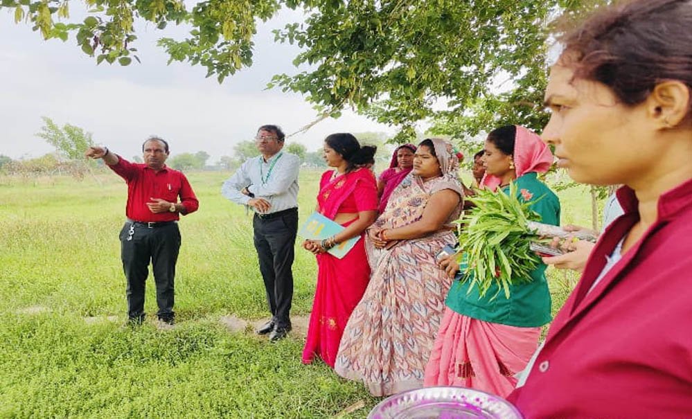 अनुपयोगी जमीन से समृद्धि की नई कहानी, धमतरी की महिलाओं ने औषधीय खेती से रचा नया मॉडल