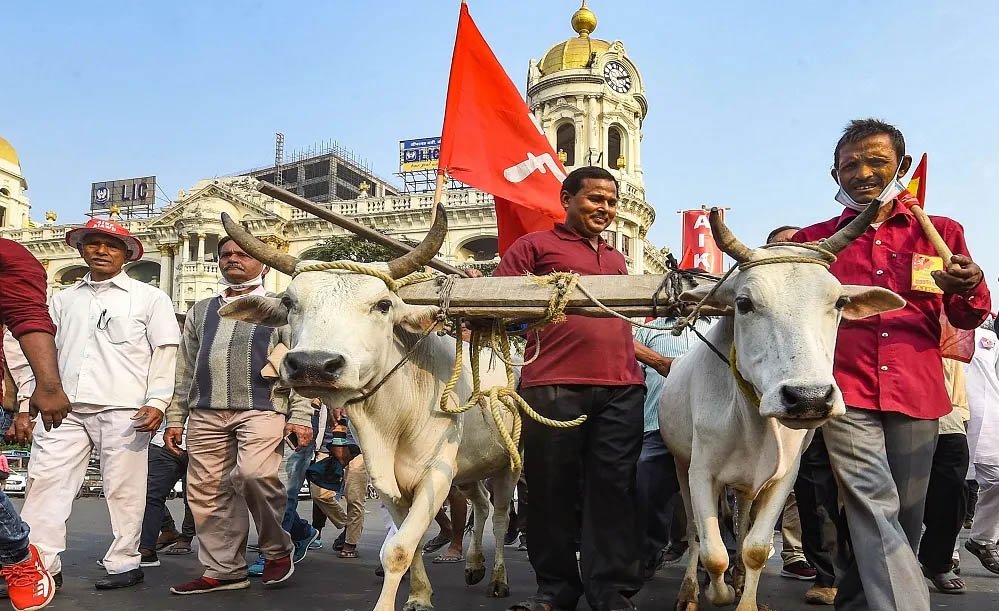 आठ दिन में समाधान नहीं हुआ तो कलेक्ट्रेट पर धरना देंगे किसान, कलेक्टर दिया चेतावनी भरा आवेदन