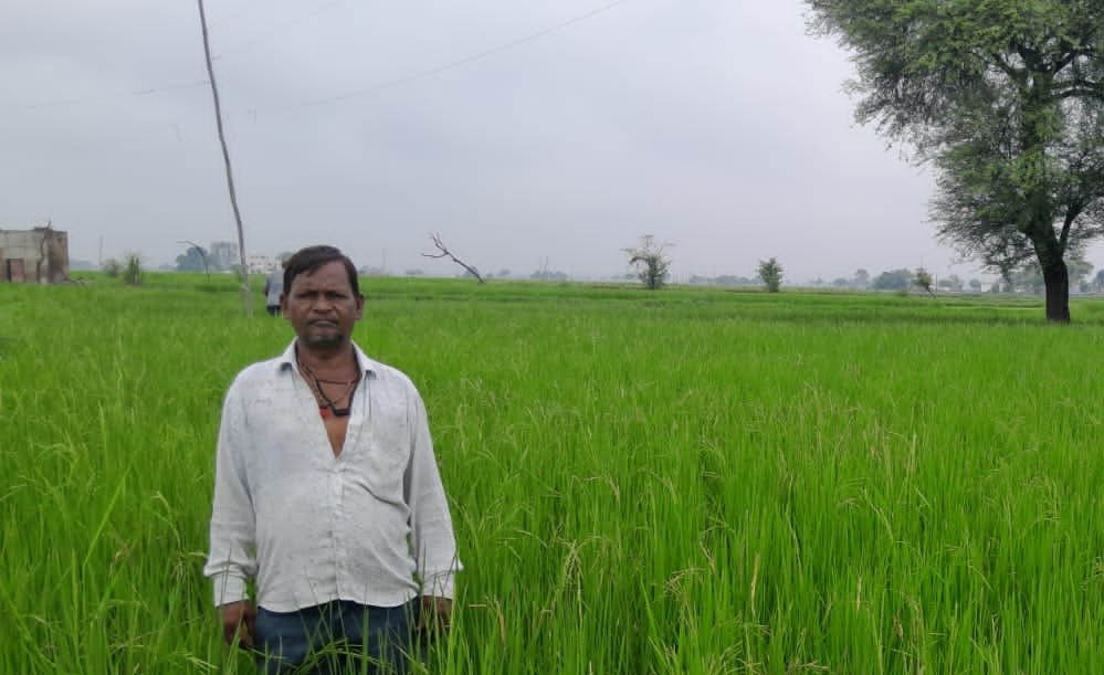 गलत धान बीज से किसानों की लाखों की फसल चौपट, फर्म संचालक पर कार्रवाई की मांग