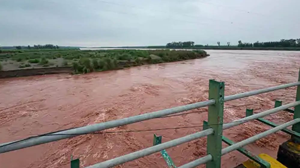 पंजाब में बारिश का कहर! जालंधर की सड़क पर लगी धान की फसल, अमृतसर में 15 साल का रिकॉर्ड टूटा