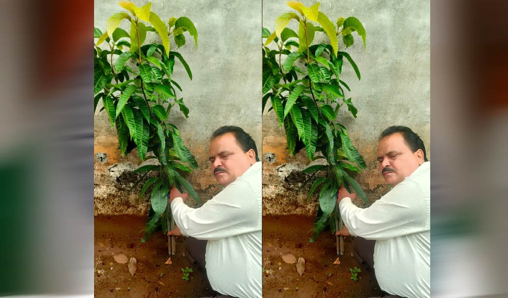 अधिमान्य पत्रकार नेतृत्व समिति के प्रदेश अध्यक्ष प्रीतम वर्मन ने लगाया एक वृक्ष