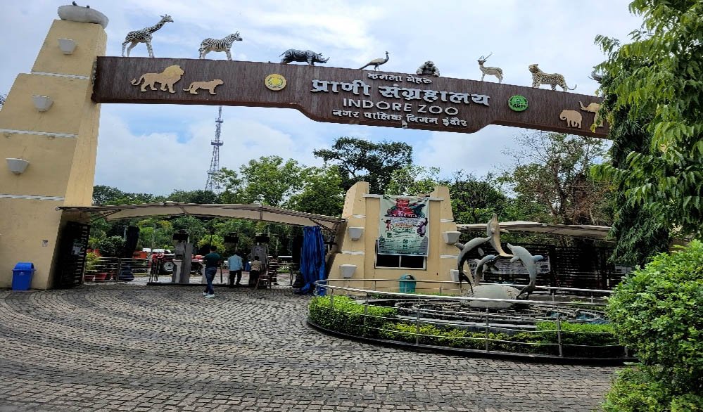 इंदौर प्राणी संग्रहालय को मिलेगा नया मेहमान, गैंडों की जोड़ी और दरियाई घोड़ा 'सतीश' बनेगा आकर्ष