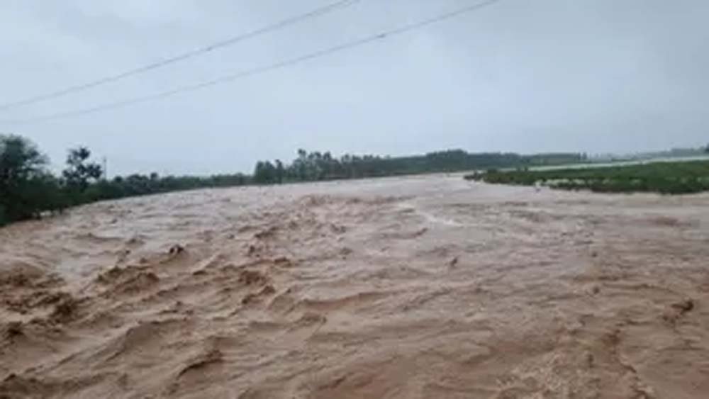 पहाड़ों की बारिश से यमुनानगर में बढ़ा खतरा, नदियां उफान पर पहुंचीं