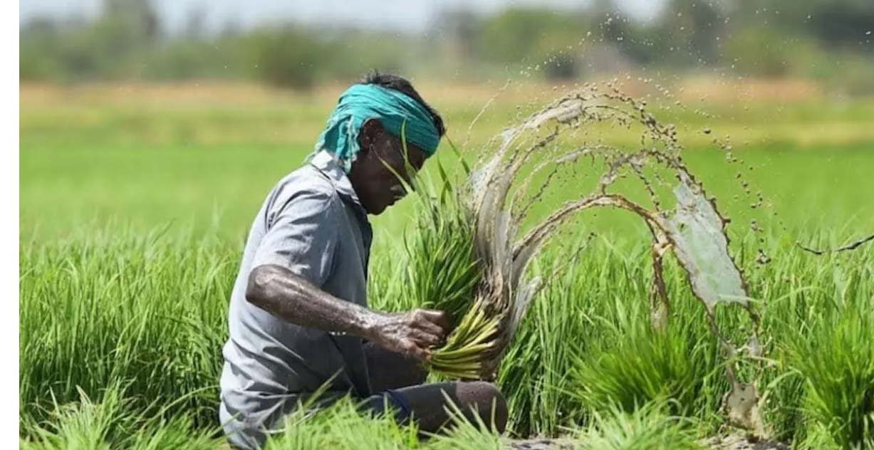 किसानों को राहत, प्रधानमंत्री फसल बीमा योजना में शामिल होंगी दस फसलें