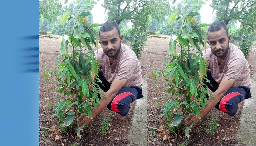 झाबुआ जिला अध्यक्ष रविंद्र भाटी ने आम के वृक्ष झाबुआ में लगाए