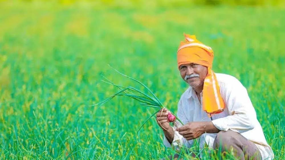 मेरी फसल-मेरा ब्योरा पोर्टल 31 जुलाई बाद होगा बंद, जल्द कराएं पंजीकरण