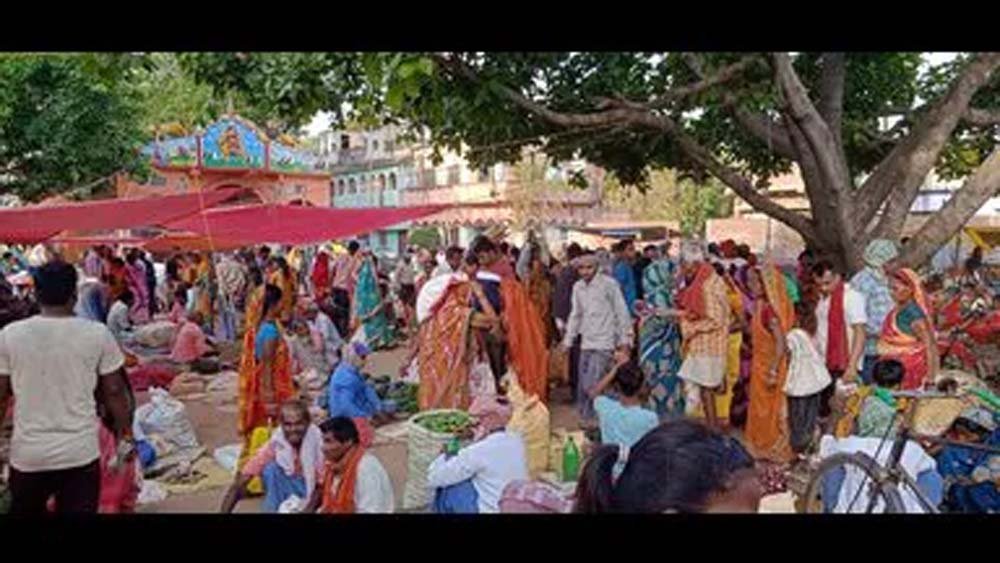 हर पंचायत में हाट, जीविका उत्पादों को मिलेगा बड़ा बाजार और रोजगार