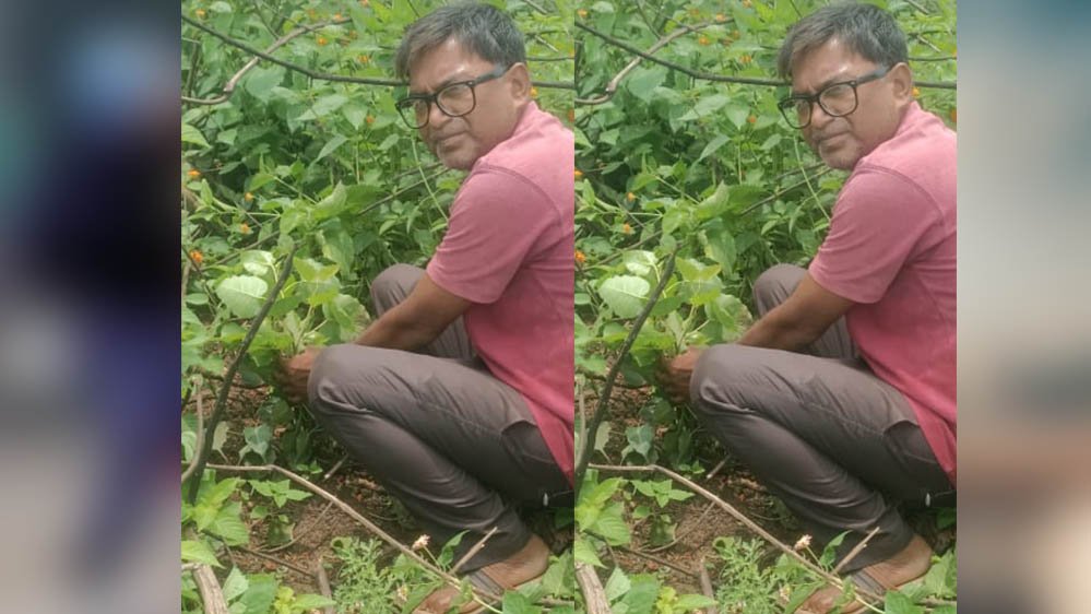 जबलपुर पूर्व प्रदेश अध्यक्ष सुनील कुमार राय ने पीपल के वृक्ष मझौली में लगाए