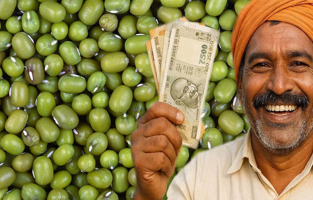 मूंग के दाम में ₹500 प्रति क्विंटल की बढ़ोतरी, किसानों को होगा बड़ा फायदा; सरकार के लिए बनी चुन